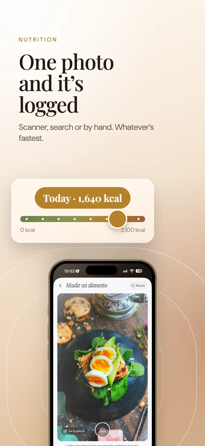 Nutrition: identify a meal from a photo